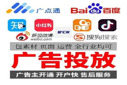 SEM广告投放的竞价策略与效果评估案例