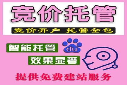 SEM托管公司案例解析：账户优化策略